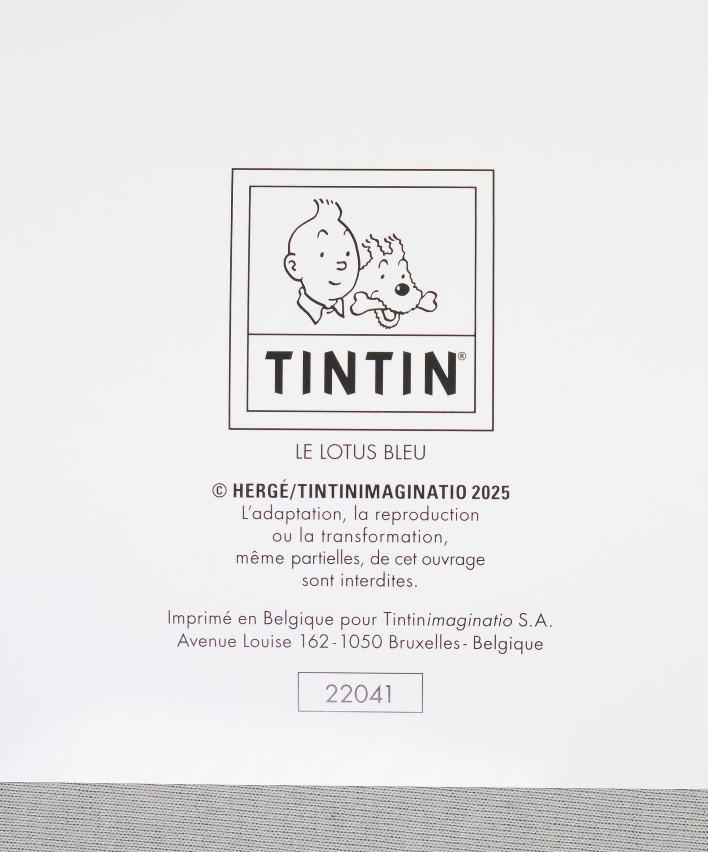 Rare Ltd Moulinsart Poster - Edition Noir - The Blue Lotus Colourised 22041 60x80cm Herge