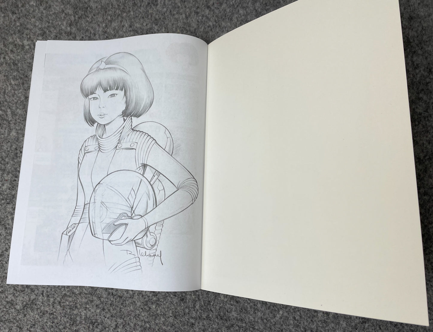 Yoko Tsuno Full Set of 20 by R. Leloup: Cinebook PB Edition Rare Comic Book Lot