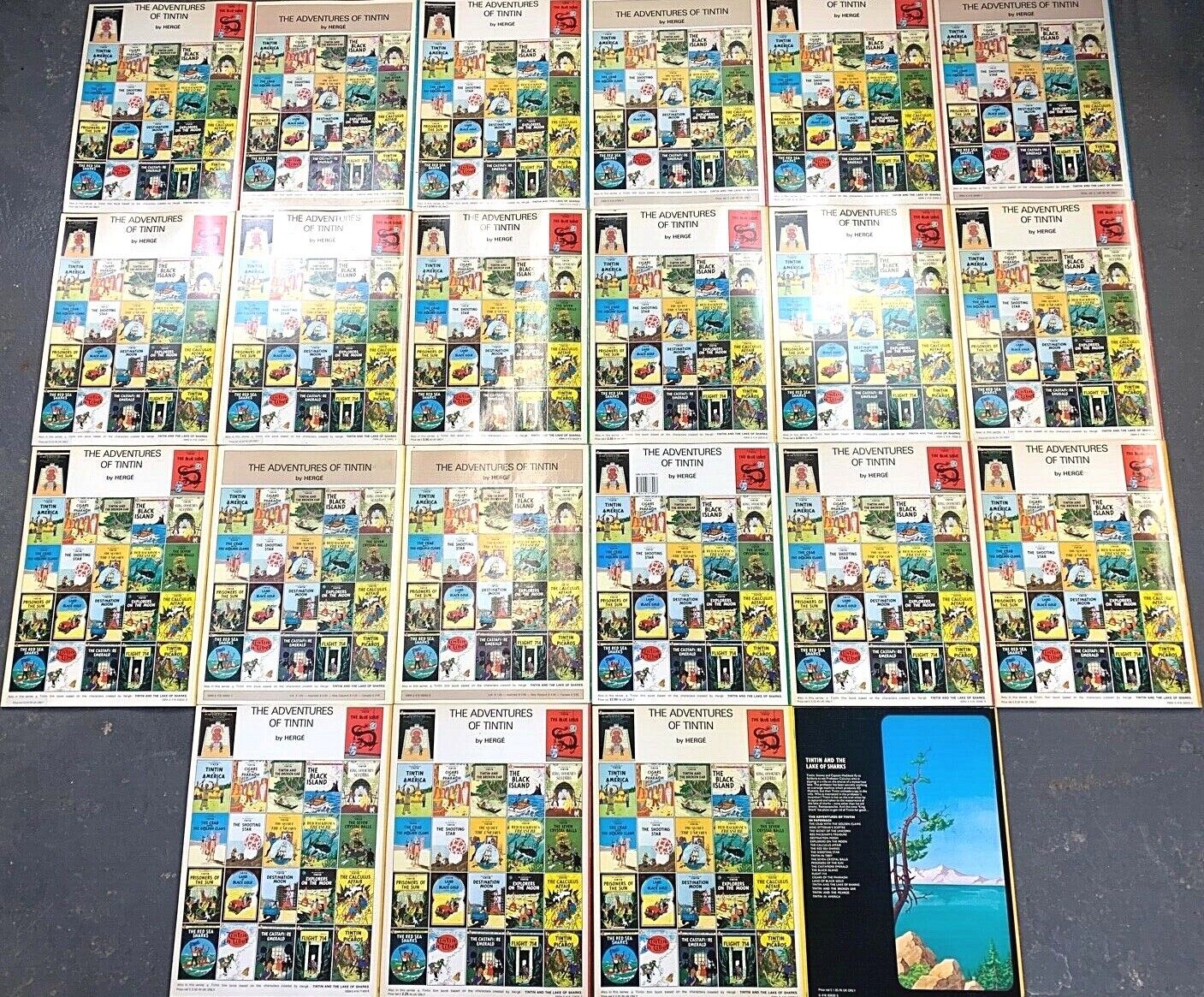 Set of 22 Vintage Magnet Tintin Paperback Books: Hyslop text by Herge Comic Lot