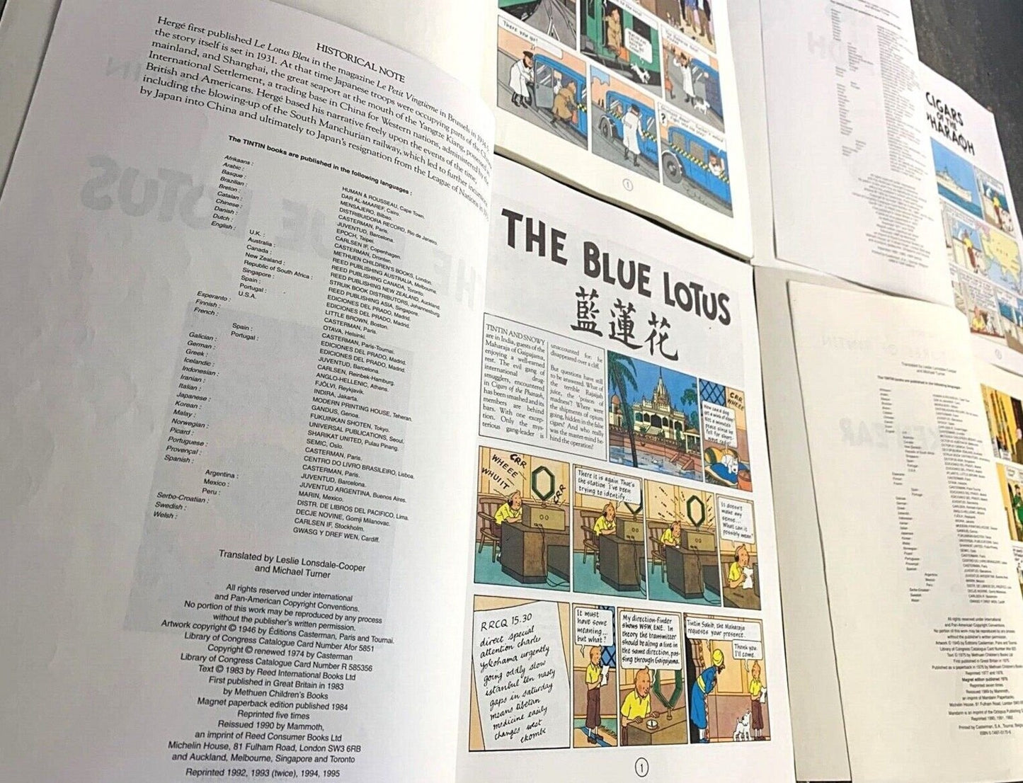 Set of 22 Vintage Mammoth Tintin Paperback Books: Hyslop text by Herge Comic Lot