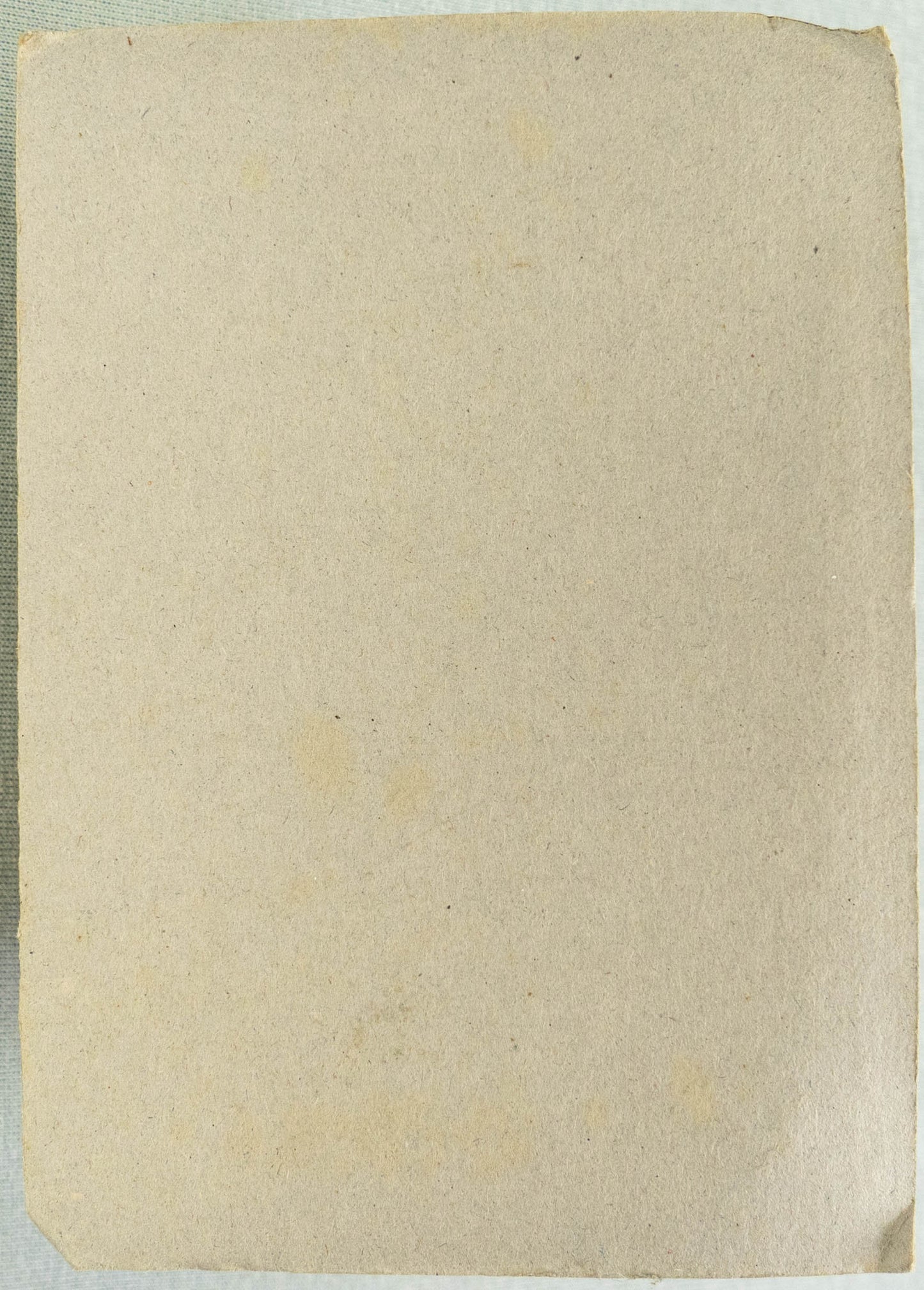 Plastoy Asterix Figurine #14 Bonemine - Editions Rene 9cm Model Figure