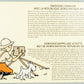 Tintin in the Congo x2 Stamps/Seals: 2001 Rare Belge Post/Moulinsart Tintin Postage Stamp Collection