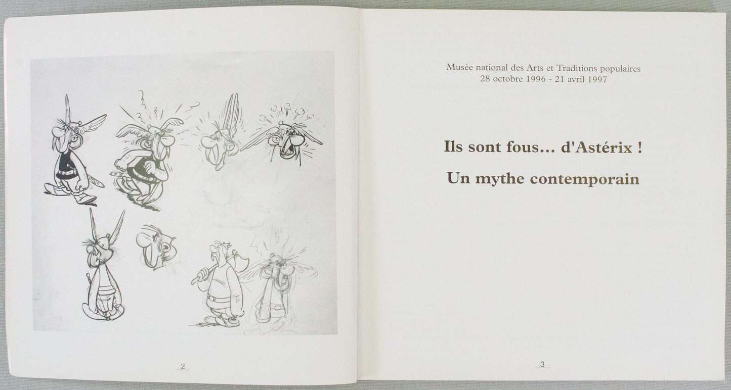 Asterix Le Catalogue de L'exposition 1st Edition Book - 1996 French PB Les Editions Rene