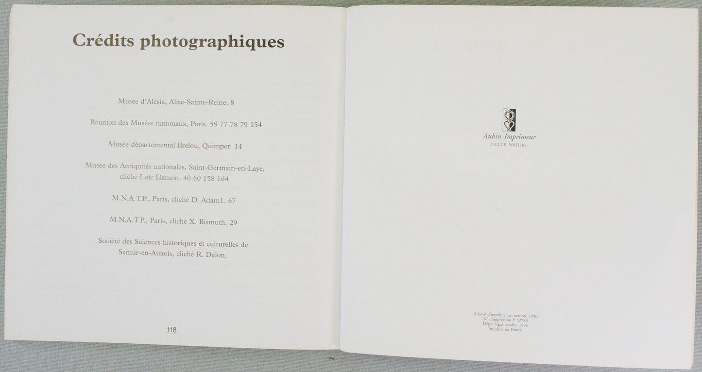 Asterix Le Catalogue de L'exposition 1st Edition Book - 1996 French PB Les Editions Rene