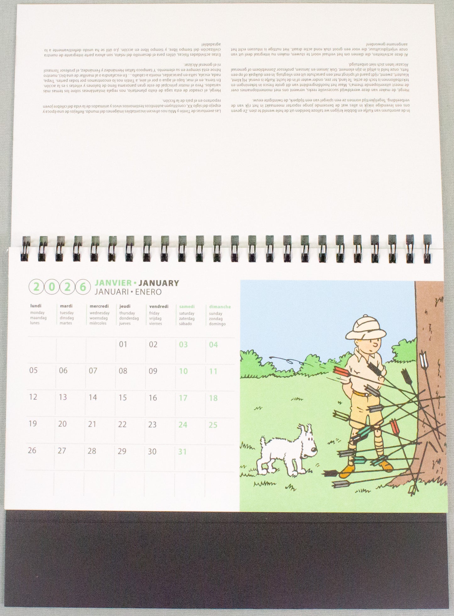 2026 Tintin Desk Calendar - Tintin In America Moulinsart Editions