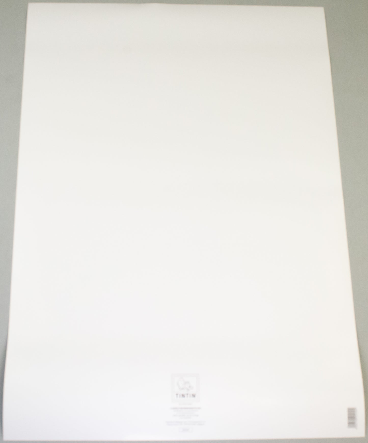 Rare Ltd Moulinsart Poster - Edition Noir - The Blue Lotus Colourised 22041 60x80cm Herge