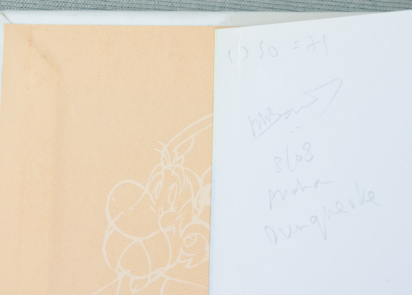 Le Livre d'Asterix Le Gavlois Book - 1999 French 1st Edition HB Les Editions Rene Andrieu