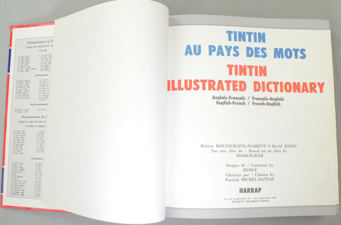 Tintin: Harrap's Illustrated Dictionary English/French 1989 Edition Des Mots