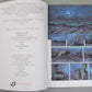 Bear's Tooth Volume 6: "Silbervogel" Cinebook Paperback UK Comic Book by Yann/Henriet