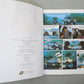 Alpha Volume 4: "Sanctions" Cinebook Paperback UK Comic Book by Jigounov/Mythic
