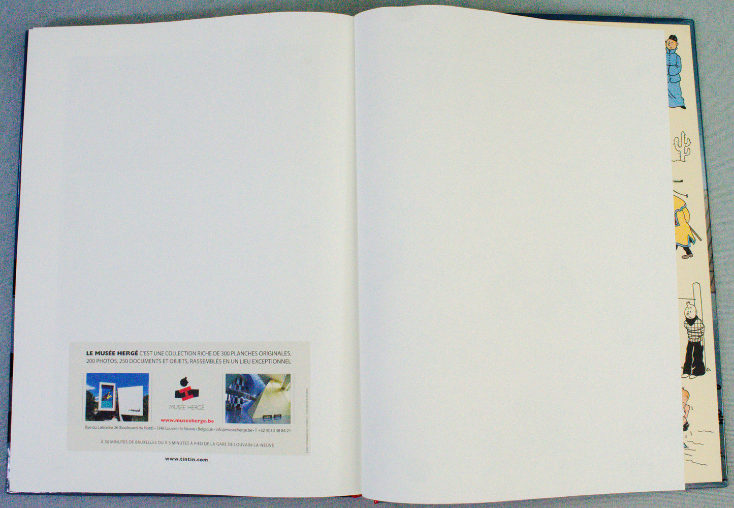 Le Lotus Bleu: Re-colourised Casterman 2025 French Edition Hardback Book