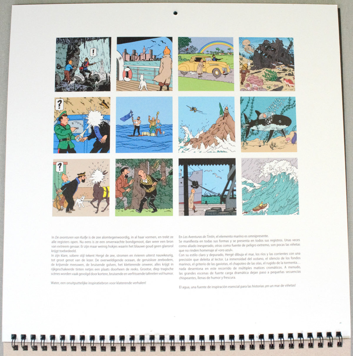 2027 Tintin Large/Wall Calendar - Adventures of Tintin by Herge/Moulinsart Edition