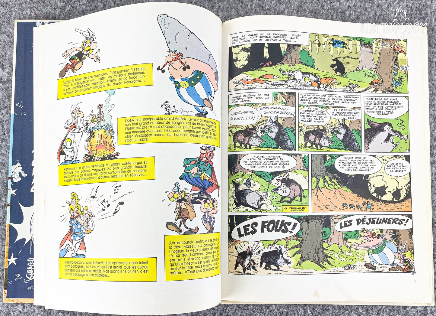 L' Odyssee D' Asterix - Editions Albert Rene 1981 1st Belgian Edition Rare Hardback Book EO