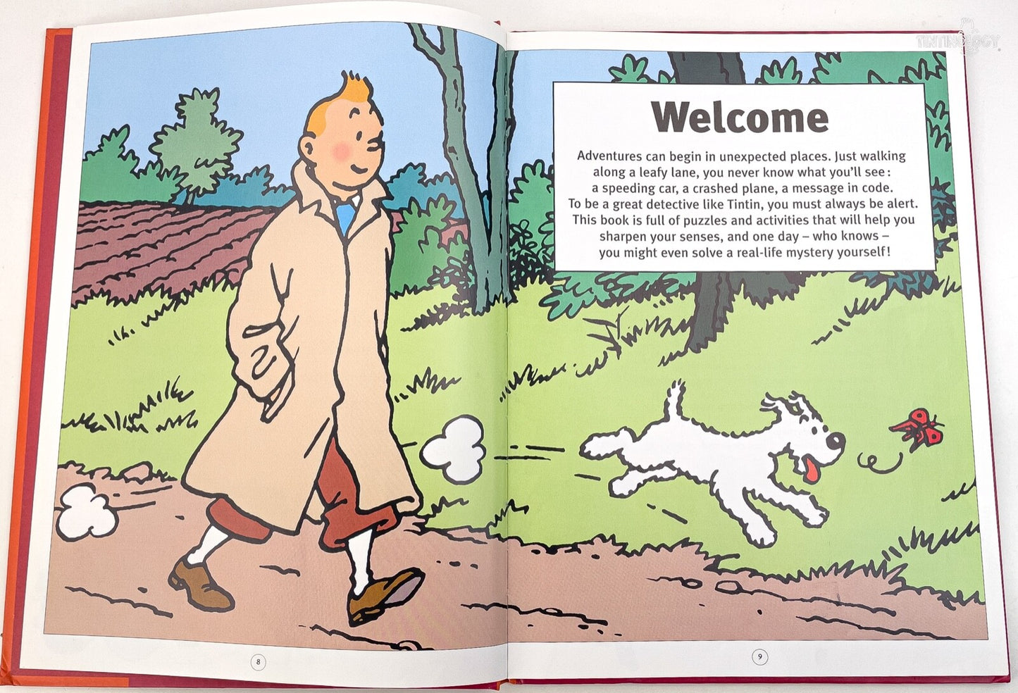 Tintin & Snowy Action Play Book Volume 2 - Hardback Egmont Edition