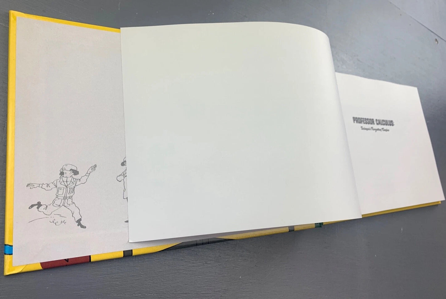 Professor Calculus: Science's Forgotten Genius by Algoud 2023 1st Edition Tintin
