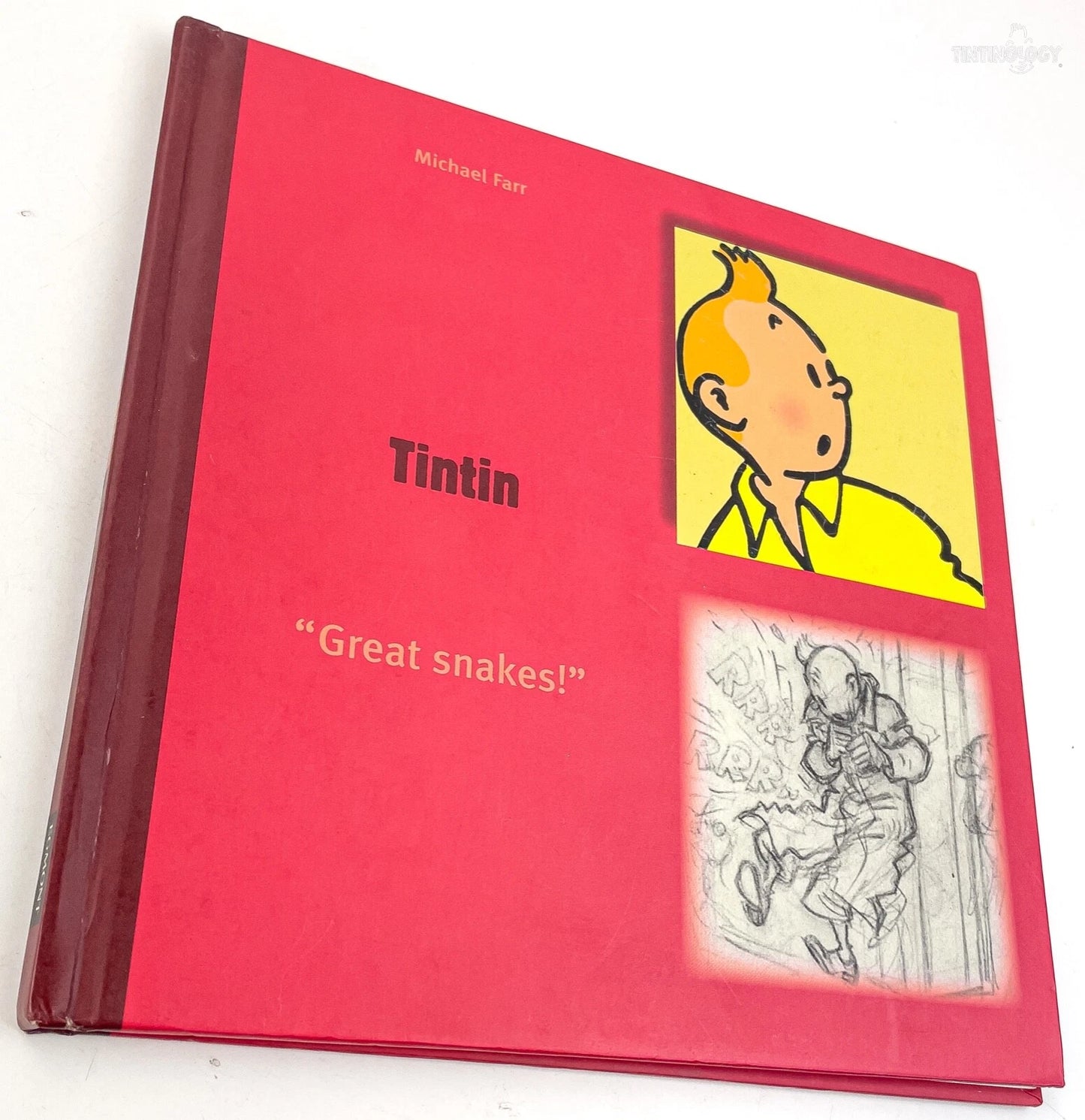 Egmont Tintin Character Book (minor defect) Tintin by Michael Farr 2007 Egmont Hardback 1st Edition