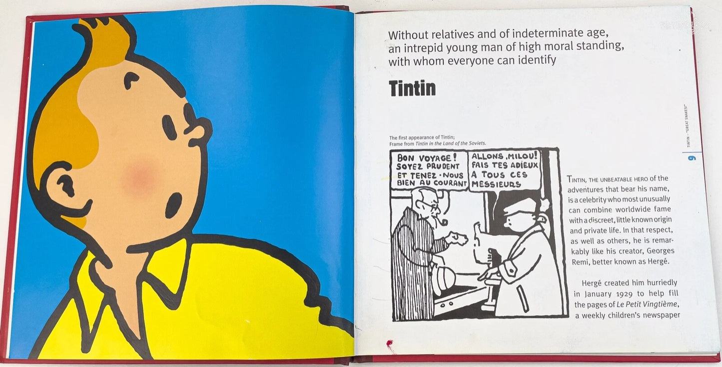 Egmont Tintin Character Book (minor defect) Tintin by Michael Farr 2007 Egmont Hardback 1st Edition